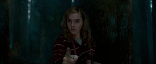 OdF-Potterish_6531.jpg