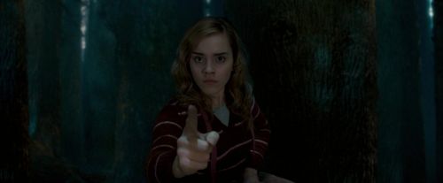 OdF-Potterish_6532.jpg
