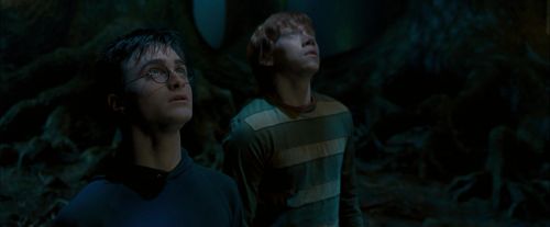 Click to view full size image
==============
OdF-Potterish_6535.jpg OdF-Potterish_6535.jpg