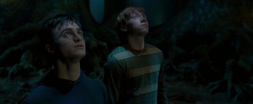 Click to view full size image
==============
OdF-Potterish_6536.jpg OdF-Potterish_6536.jpg