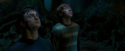 OdF-Potterish_6537.jpg
