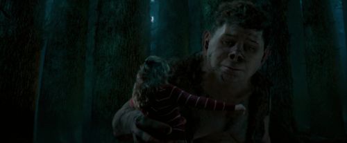 Click to view full size image
==============
OdF-Potterish_6538.jpg OdF-Potterish_6538.jpg