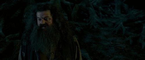 OdF-Potterish_6541.jpg