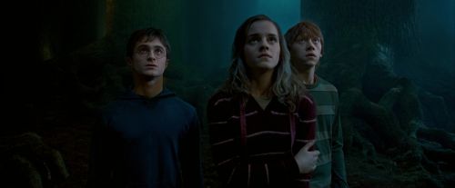 Click to view full size image
==============
OdF-Potterish_6542.jpg OdF-Potterish_6542.jpg