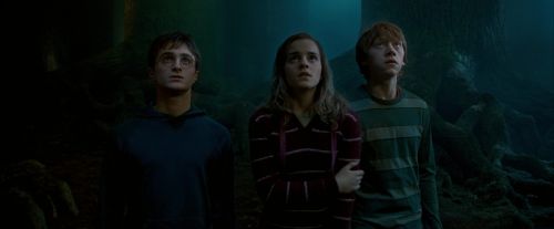 OdF-Potterish_6543.jpg