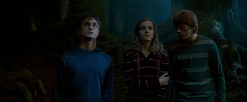 OdF-Potterish_6548.jpg