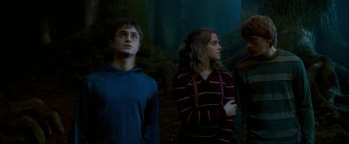 OdF-Potterish_6549.jpg