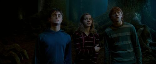 OdF-Potterish_6550.jpg