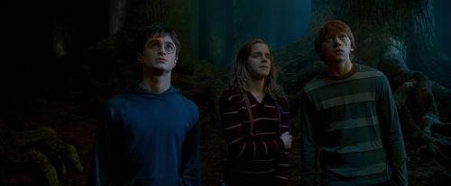 OdF-Potterish_6553.jpg