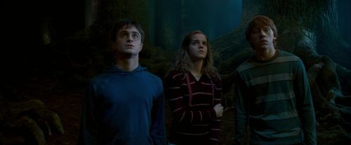OdF-Potterish_6554.jpg