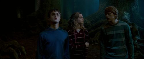 Click to view full size image
==============
OdF-Potterish_6555.jpg OdF-Potterish_6555.jpg