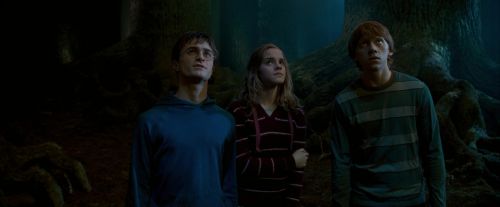 Click to view full size image
==============
OdF-Potterish_6556.jpg OdF-Potterish_6556.jpg