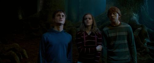 OdF-Potterish_6557.jpg