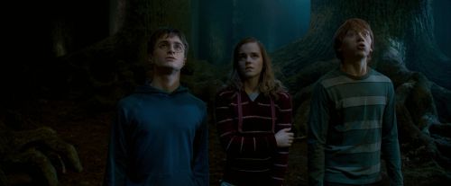Click to view full size image
==============
OdF-Potterish_6561.jpg OdF-Potterish_6561.jpg
