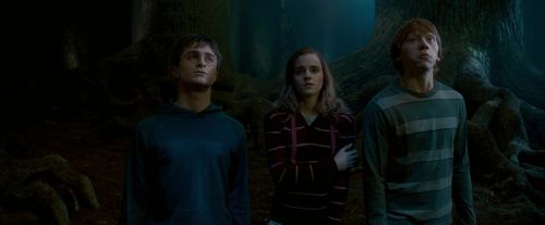 OdF-Potterish_6562.jpg