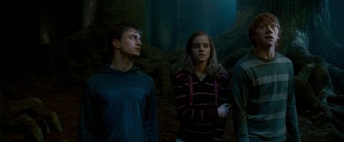 OdF-Potterish_6563.jpg