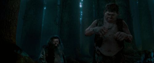 Click to view full size image
==============
OdF-Potterish_6569.jpg OdF-Potterish_6569.jpg