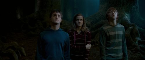 OdF-Potterish_6570.jpg