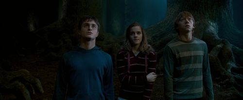 OdF-Potterish_6571.jpg