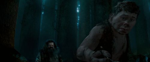 OdF-Potterish_6575.jpg