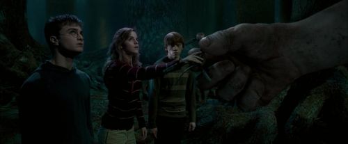 Click to view full size image
==============
OdF-Potterish_6579.jpg OdF-Potterish_6579.jpg