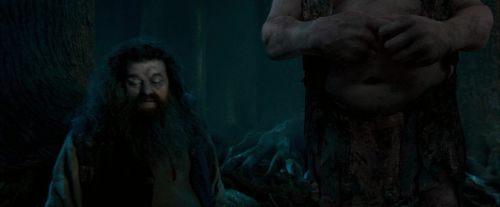 Click to view full size image
==============
OdF-Potterish_6589.jpg OdF-Potterish_6589.jpg