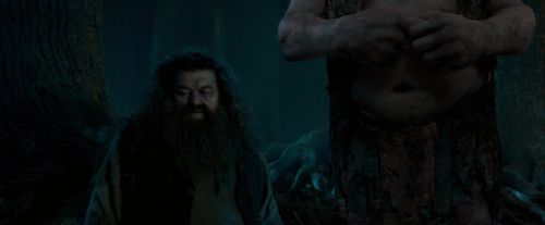 OdF-Potterish_6590.jpg