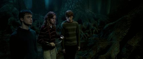 OdF-Potterish_6591.jpg