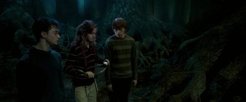 OdF-Potterish_6592.jpg