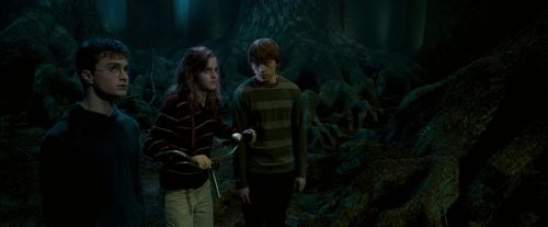 OdF-Potterish_6593.jpg
