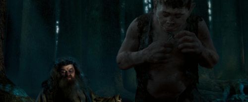 Click to view full size image
==============
OdF-Potterish_6601.jpg OdF-Potterish_6601.jpg