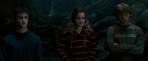 OdF-Potterish_6612.jpg