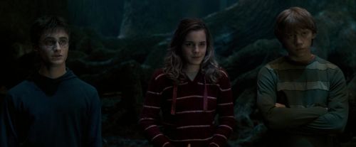 Click to view full size image
==============
OdF-Potterish_6613.jpg OdF-Potterish_6613.jpg