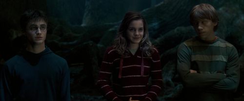 OdF-Potterish_6614.jpg