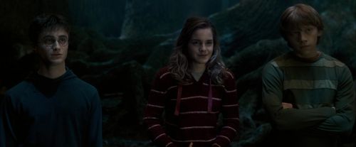 OdF-Potterish_6615.jpg