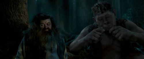 Click to view full size image
==============
OdF-Potterish_6619.jpg OdF-Potterish_6619.jpg