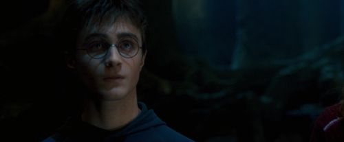Click to view full size image
==============
OdF-Potterish_6623.jpg OdF-Potterish_6623.jpg