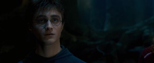 OdF-Potterish_6624.jpg