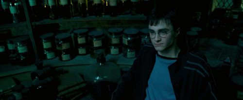 OdF-Potterish_6648.jpg