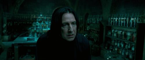 OdF-Potterish_6675.jpg