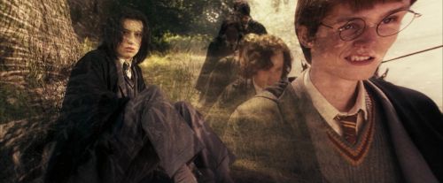 Click to view full size image
==============
OdF-Potterish_6748.jpg OdF-Potterish_6748.jpg