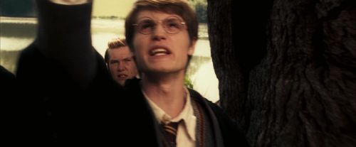 Click to view full size image
==============
OdF-Potterish_6761.jpg OdF-Potterish_6761.jpg