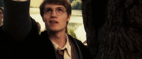 Click to view full size image
==============
OdF-Potterish_6763.jpg OdF-Potterish_6763.jpg