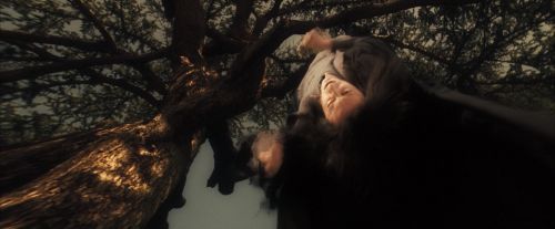 Click to view full size image
==============
OdF-Potterish_6764.jpg OdF-Potterish_6764.jpg