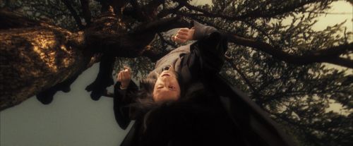 OdF-Potterish_6765.jpg