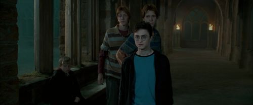 Click to view full size image
==============
OdF-Potterish_6843.jpg OdF-Potterish_6843.jpg
