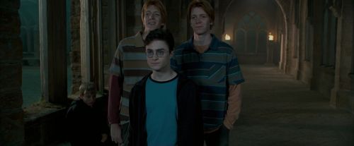 Click to view full size image
==============
OdF-Potterish_6856.jpg OdF-Potterish_6856.jpg