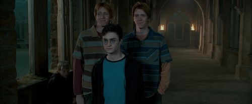 Click to view full size image
==============
OdF-Potterish_6861.jpg OdF-Potterish_6861.jpg