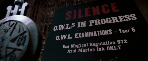 OdF-Potterish_6863.jpg