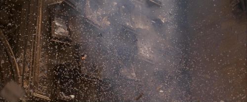 OdF-Potterish_7026.jpg